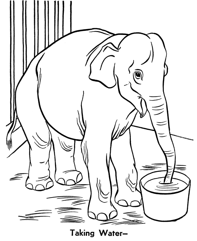Plansa de colorat cu Elefant 10 2